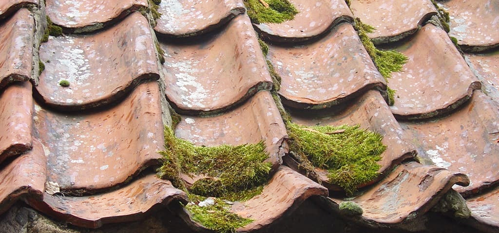 Travaux d'entretien et de réparation de toiture sur Annecy